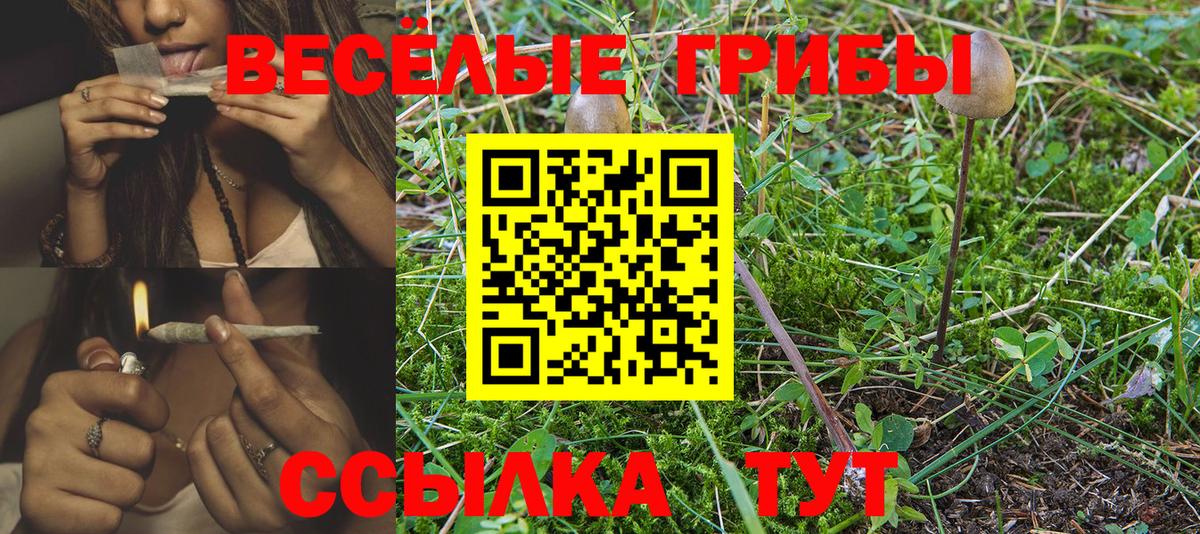 Псилоцибиновые грибы мухоморы Феодосия
